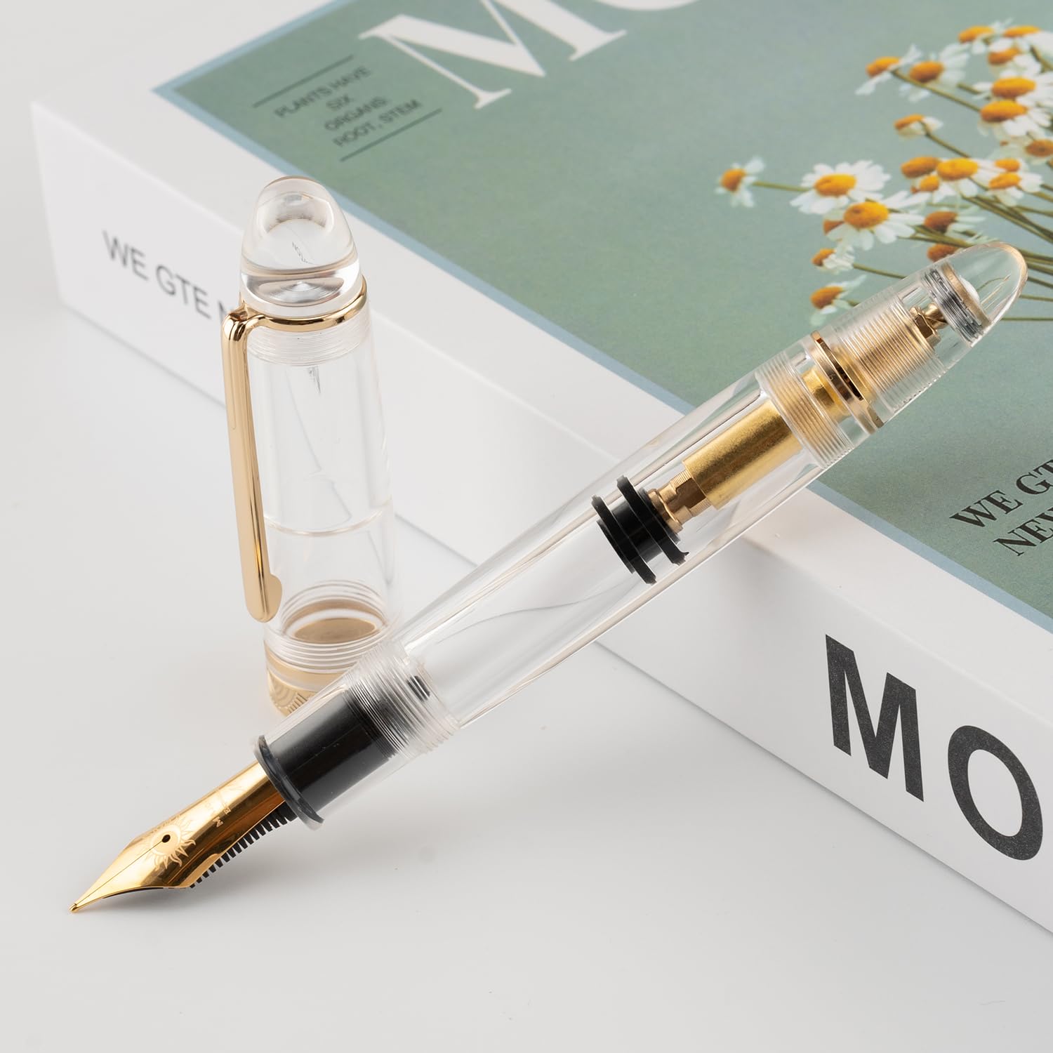Amazon.com : erofa Majohn P140 Fountain Pen O.8 Medium Nib